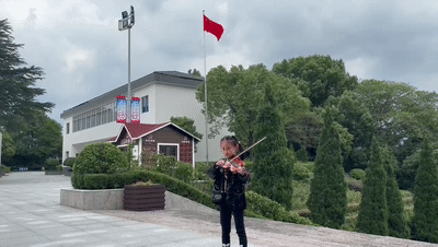 03 弦乐 陈歆羽.gif 03 弦乐 陈歆羽.gif